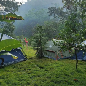 Room in Lodge - Lechuza River Campingcamping House